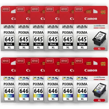 Six Canon PG-645XL/ CL-646XL Genuine High Capacity Combo (12 inks).