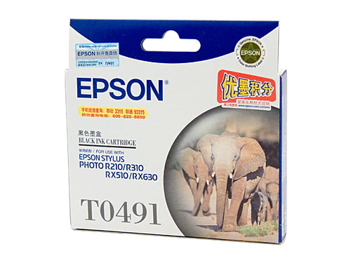 Epson T0491 Black Genuine Ink Cartridge